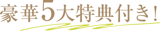 豪華5大特典付き!